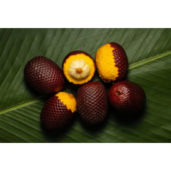 Aguaje en Poudre – Boostez Votre Féminité Naturellement